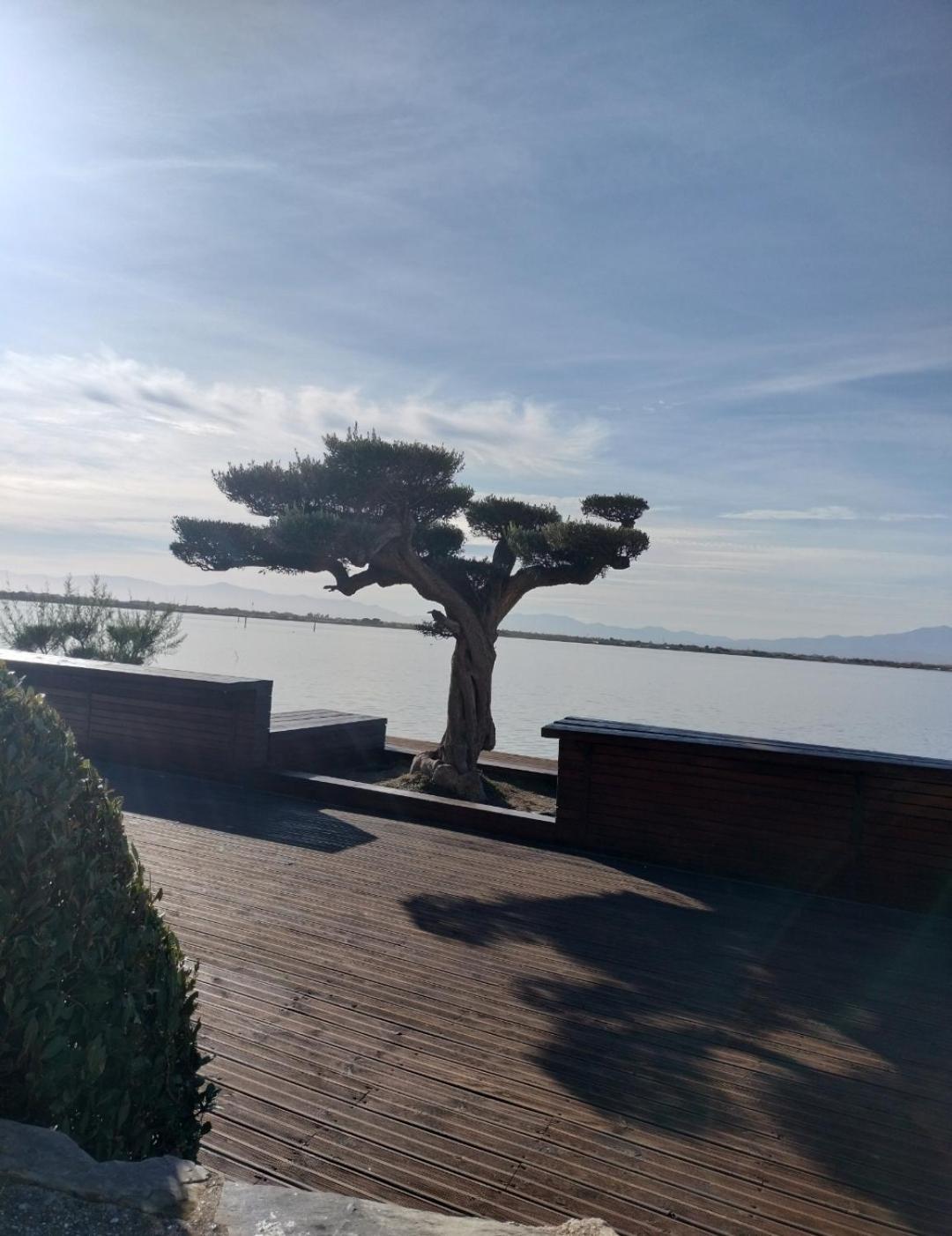 Apartment Cap Sur Le *